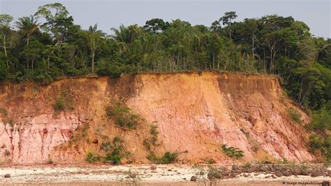 Rainforest Soil Layers