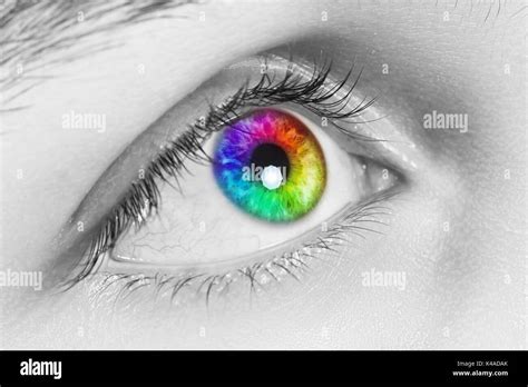 Human eye close up black and white hi-res stock photography and images ...