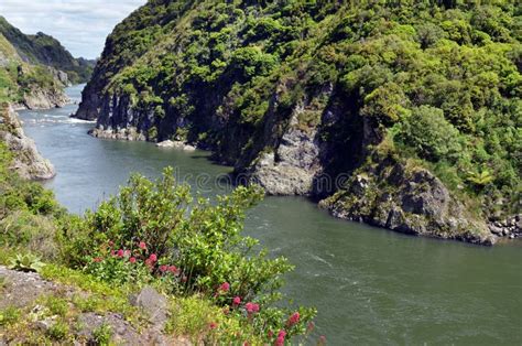 Manawatu River New Zealand Stock Photo Image Of Landscape