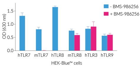 BMS 986256 TLR7 And TLR8 Dual Inhibitor InvivoGen