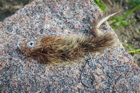 A Mouse Pattern Fly On A Rock Used For Big Trout And Taimen Fishing