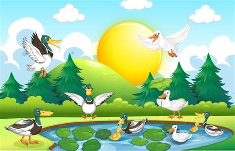 Escena Al Aire Libre Con Patos De Dibujos Animados Vector Premium