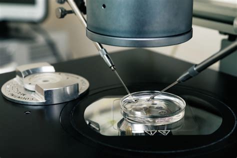 Fecundación In Vitro Fiv Embryocenter