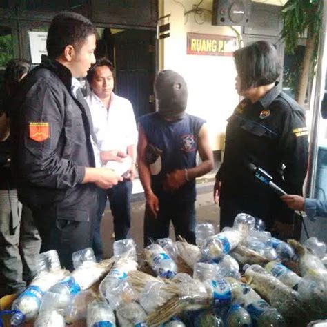 Polisi Buru Penyelundup Sadis Yang Masukkan Kakatua Ke Botol Air Minum