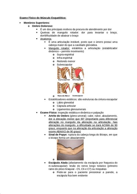 Mapas Mentais Sobre OMBRO Study Maps