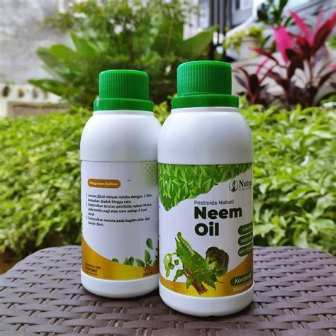 Jual Seroxil Obat Pestisida Insektisida Organik Mimba Neem Oil