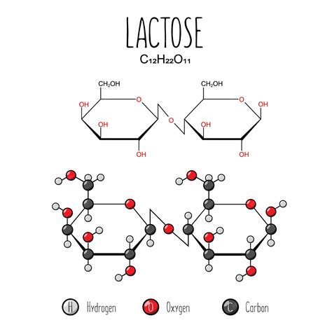 Structural Formula Of Lactose