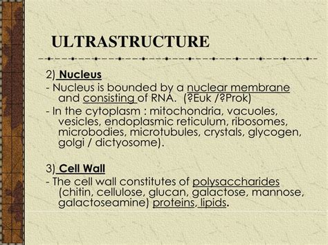 Ppt Ultrastructure Powerpoint Presentation Free Download Id 3657993