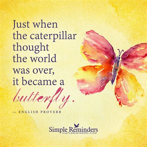 Become A Butterfly Just When The Caterpillar Thought The World Was Over It Became A Butterfly