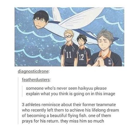 Haikyuu Meme Dump Wiki Anime Amino