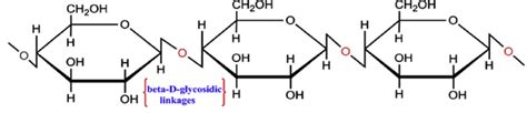 Structure of cellulose [28] | Download Scientific Diagram