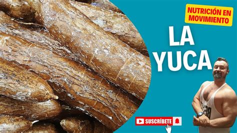 La Yuca YouTube