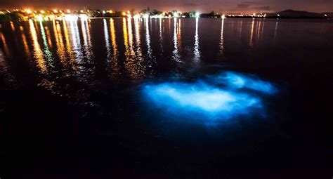 8 Incredible Places Where The Ocean Glows