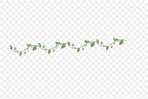 Vine Divider Png Image Tree Vine Dividing Line Division Lovely Free