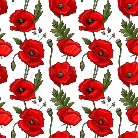 Illustration Seamless Pattern Of Flowers And Leaves Red Poppy Flowers