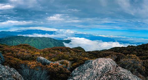 Visitez Cerro De La Muerte Costa Rica