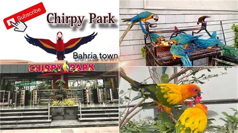 Chirpy Park Bahria Town Karachi Best Place For Birds Lover Chirpy