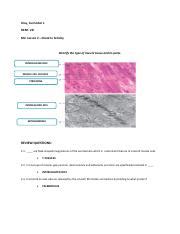 ULAY M2 L2 Check In Activity Pdf Ulay Carmishel L DENT 2D M2