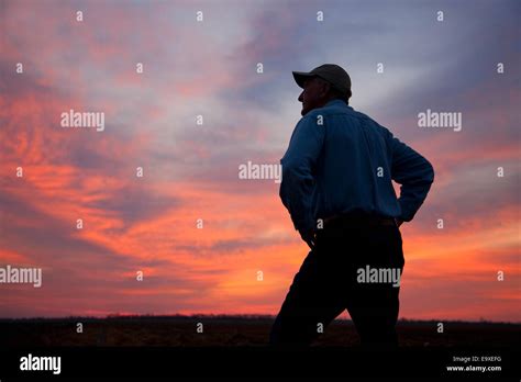 Agriculture A Farmer Grower Looks Out Across His Field At Sunrise