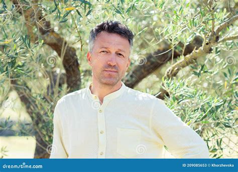 Olive Trees Handsome Man Posing In Olive Trees Garden Stock Image