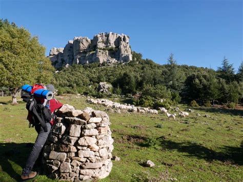 Escursione Supramonte Di Orgosolo E Mamoiada Experience Mamoiada Turismo