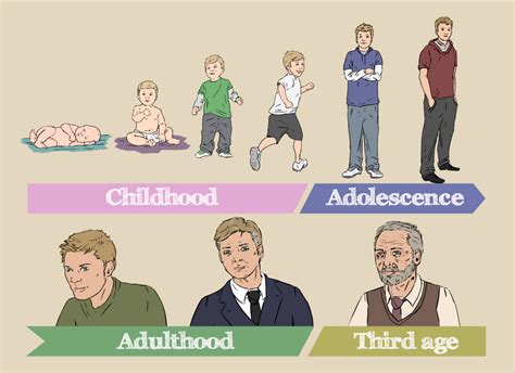 Life stages vocabulary