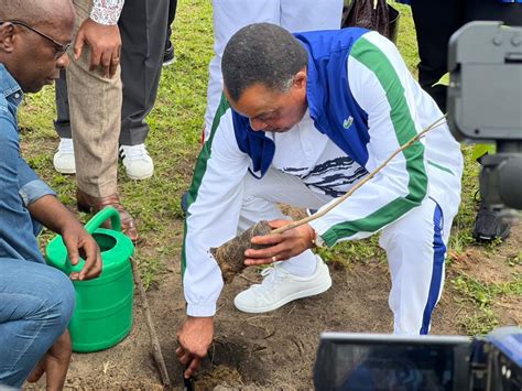 Me Journ E Nationale De L Arbre Le Pr Sident De La R Publique A