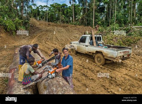 Papua New Guinea, Vanimo province, deforestation, timber team Stock ...