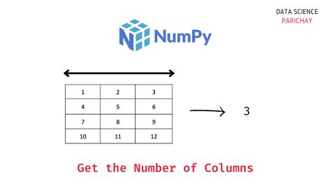 Numpy Get The Number Of Columns Of An Array Data Science Parichay