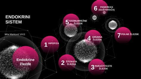 Endokrini sistem by Mila Markovic on Prezi