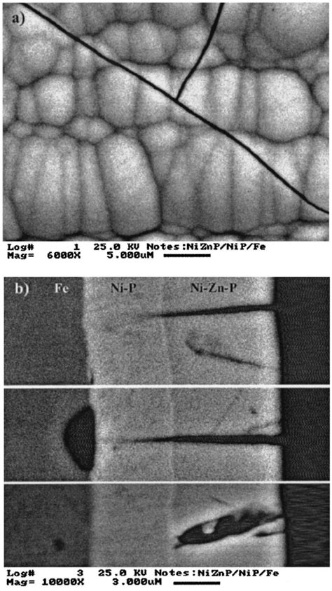 Sem Images Of Ni Zn P On Fe Preplated With Electroless Ni P