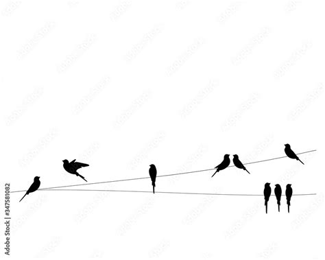 Birds Silhouettes On Wire Vector Wall Decals Wall Art Work