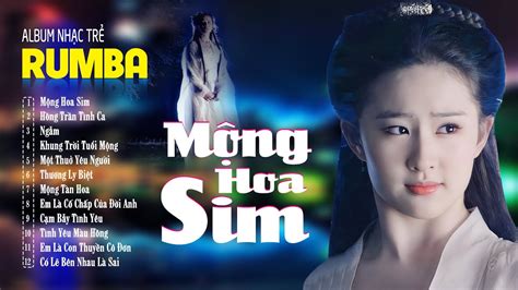 Mộng Hoa Sim Hồng Trần Tình Ca ALBUM RUMBA x x Hot Tiktok LK Nhạc Trẻ Rumba Đặc Biệt