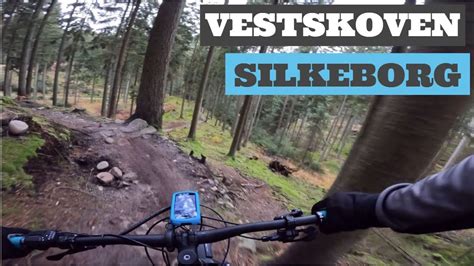 Vesterskoven Silkeborg Mtb YouTube