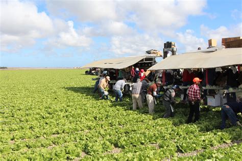 California Employment Development Department Issues Notice on AB 1513