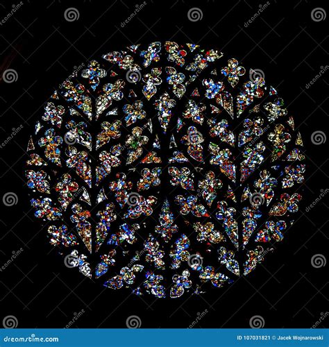 South Transept Rose Bishop`s Eye Stained Glass In Lincoln Cat