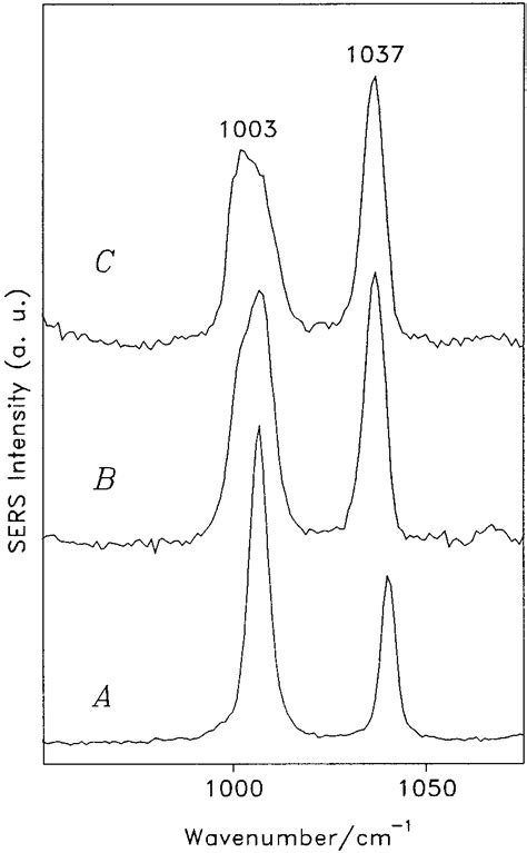 Raman Spectrum Of Aqueous Pyridine M A Sers Spectra Of Pyridine