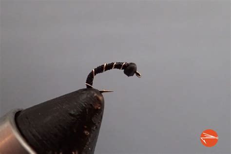 Zebra Midge: A Small But Mighty Fly Pattern - Fly Fishing Fix