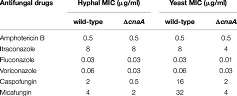 In Vitro Assay Of Antifungal Susceptibility Download Scientific Diagram