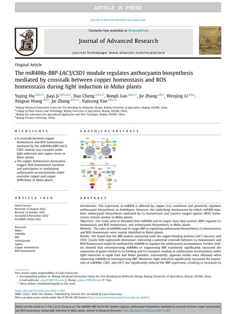 Pdf The Mir A Bbp Lac Csd Module Regulates Anthocyanin