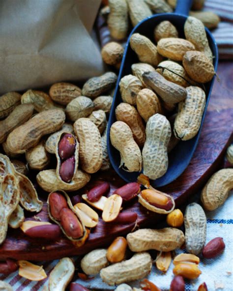 Easy Roasted Peanuts in the Shell - Southern Discourse