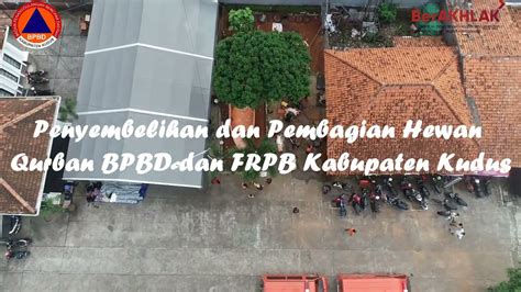 Penyembelihan Dan Pembagian Hewan Qurban BPBD FRPB YouTube