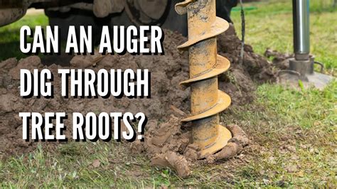 Can An Auger Dig Through Tree Roots YouTube