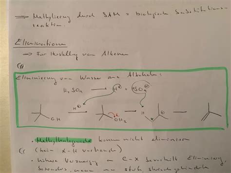 Alkane Benzene Alkene Alkine Etc Flashcards Quizlet