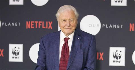 Watch: Teaser For New David Attenborough Series Coming To Netflix In ...