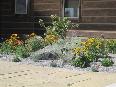 Smart Drought Tolerant Landscape Design Randolph Indoor And Outdoor