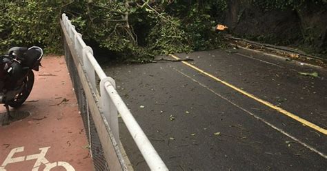 G Vento Forte Chegada De Frente Fria Derruba Rvores No Rio