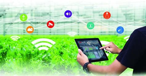 Role Of Artificial Intelligence Ai In Agriculture Agriculture Technology And Business Market