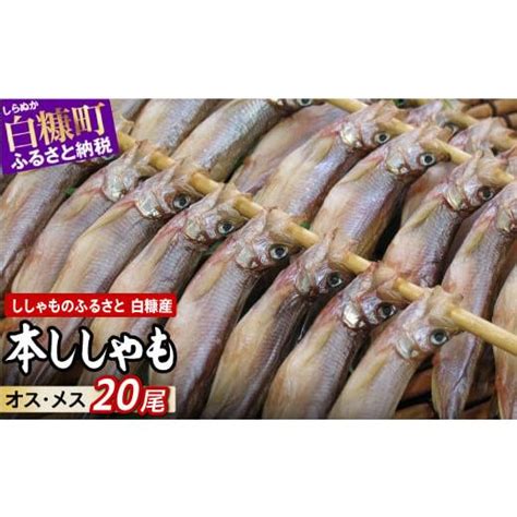 ふるさと納税 魚貝類 ししゃも 北海道 白糠町 しらぬか産 本ししゃも 20尾 オスメス 各10尾 ししゃも シシャモ 子持ちししゃも 卵