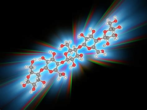 Cellulose Organic Compound Molecule Photograph By Laguna Design Science